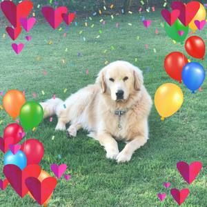 Meet your Posher, Raquel